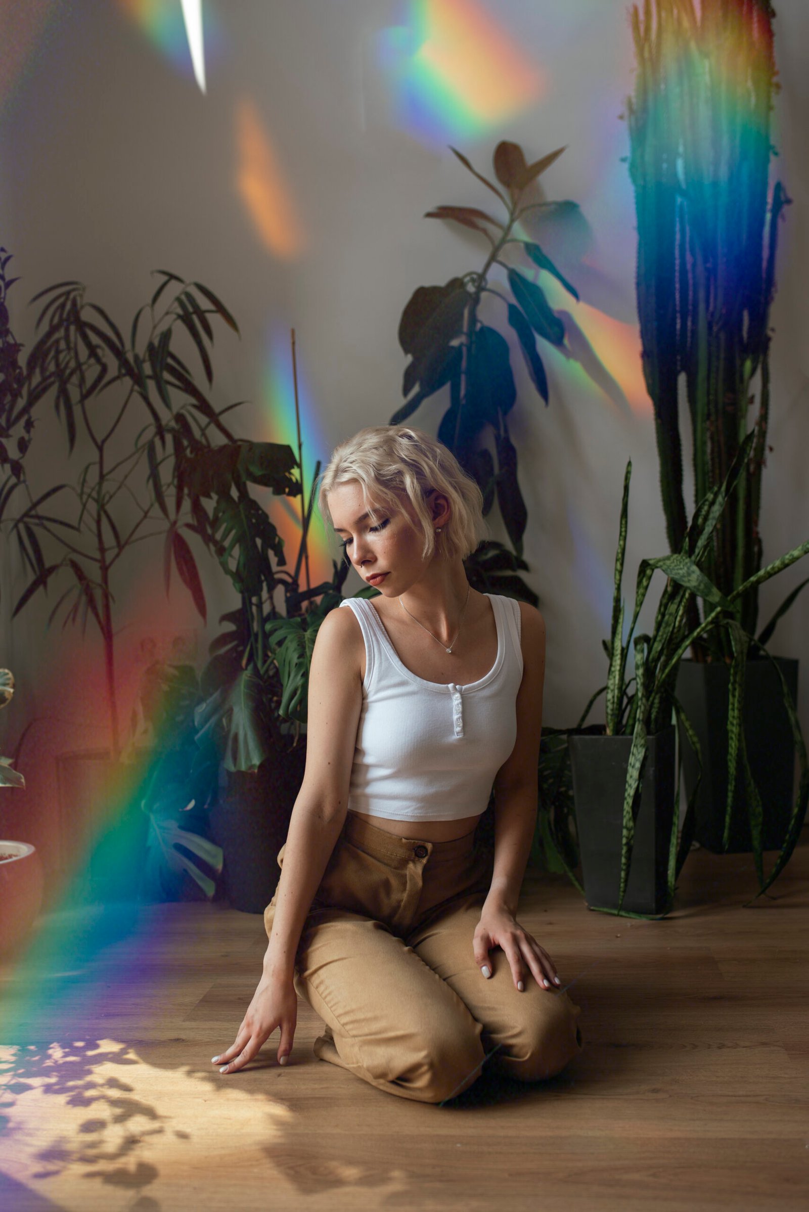 Armonización de polaridad